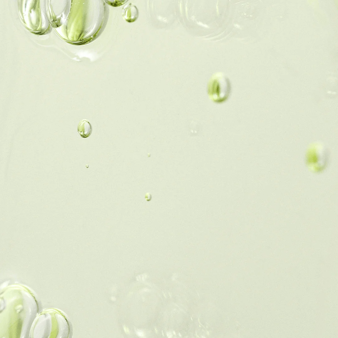 Beauty of Joseon Calming Serum : Green tea + Panthenol 30ml - Image 3